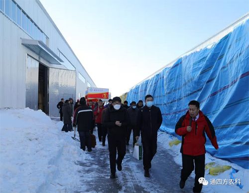 �͑�(h��)���^��˾